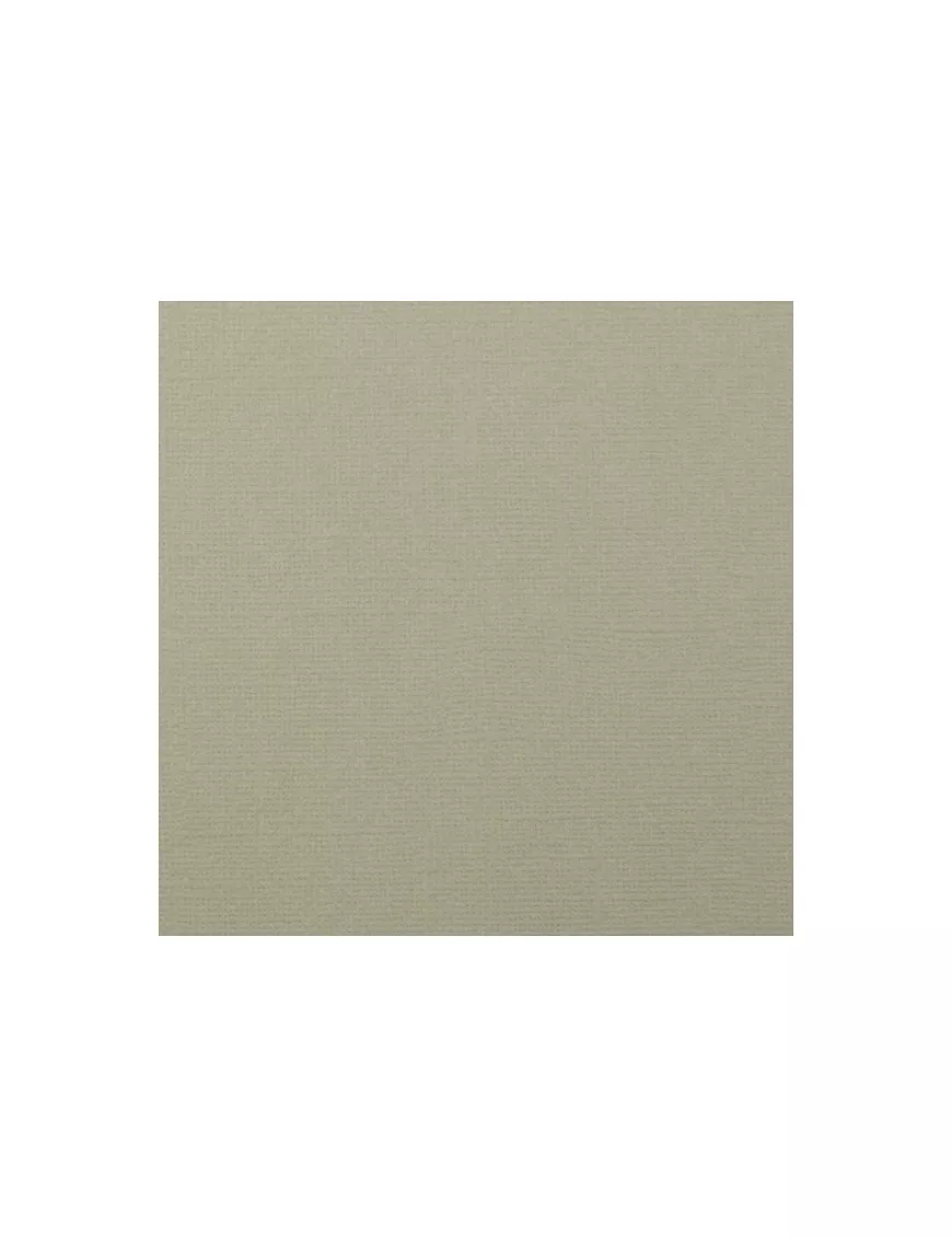 Cartulina texture 30,5x30,5cm Mouse