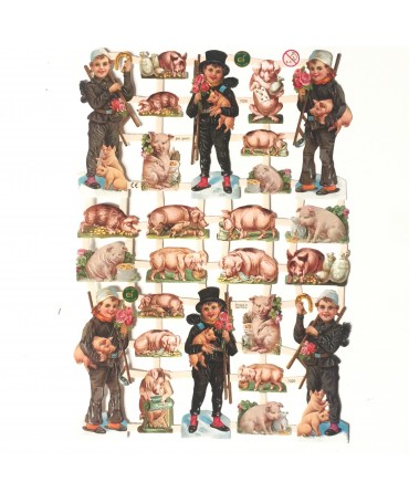 CROMOS ALEMANES Cerditos
