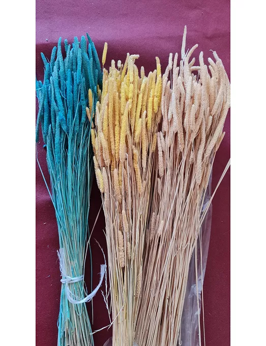 Ramo Phleum preservado azul turquesa