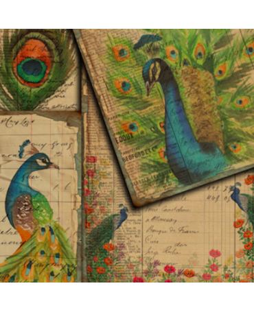 STICKERS VINTAGE Pavo Real