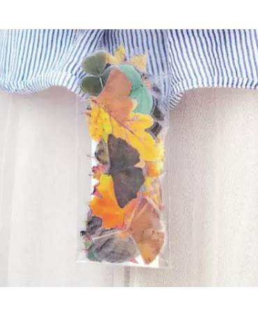 Stickers Transparentes...