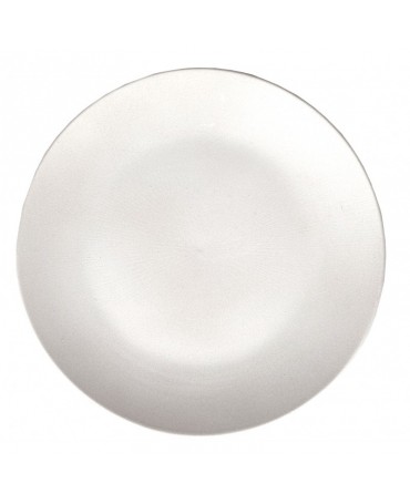Resina Plato 24,5cm