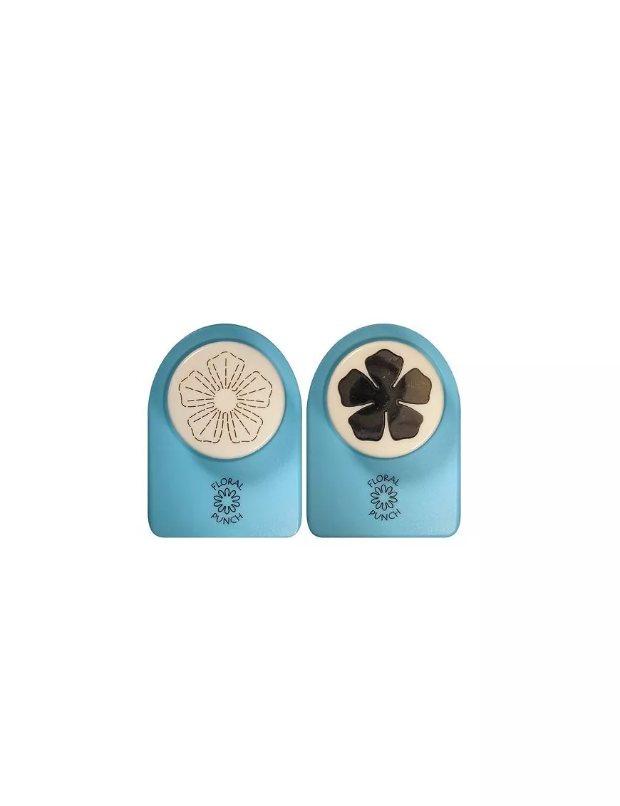 Set Punch Rose flower mediana