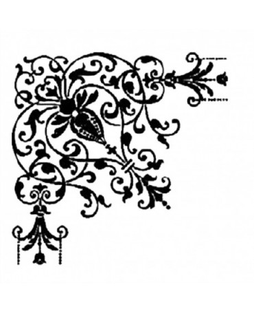 Stencil Cadence 25x35...