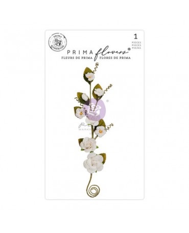 FLORES PRIMA Flowers...