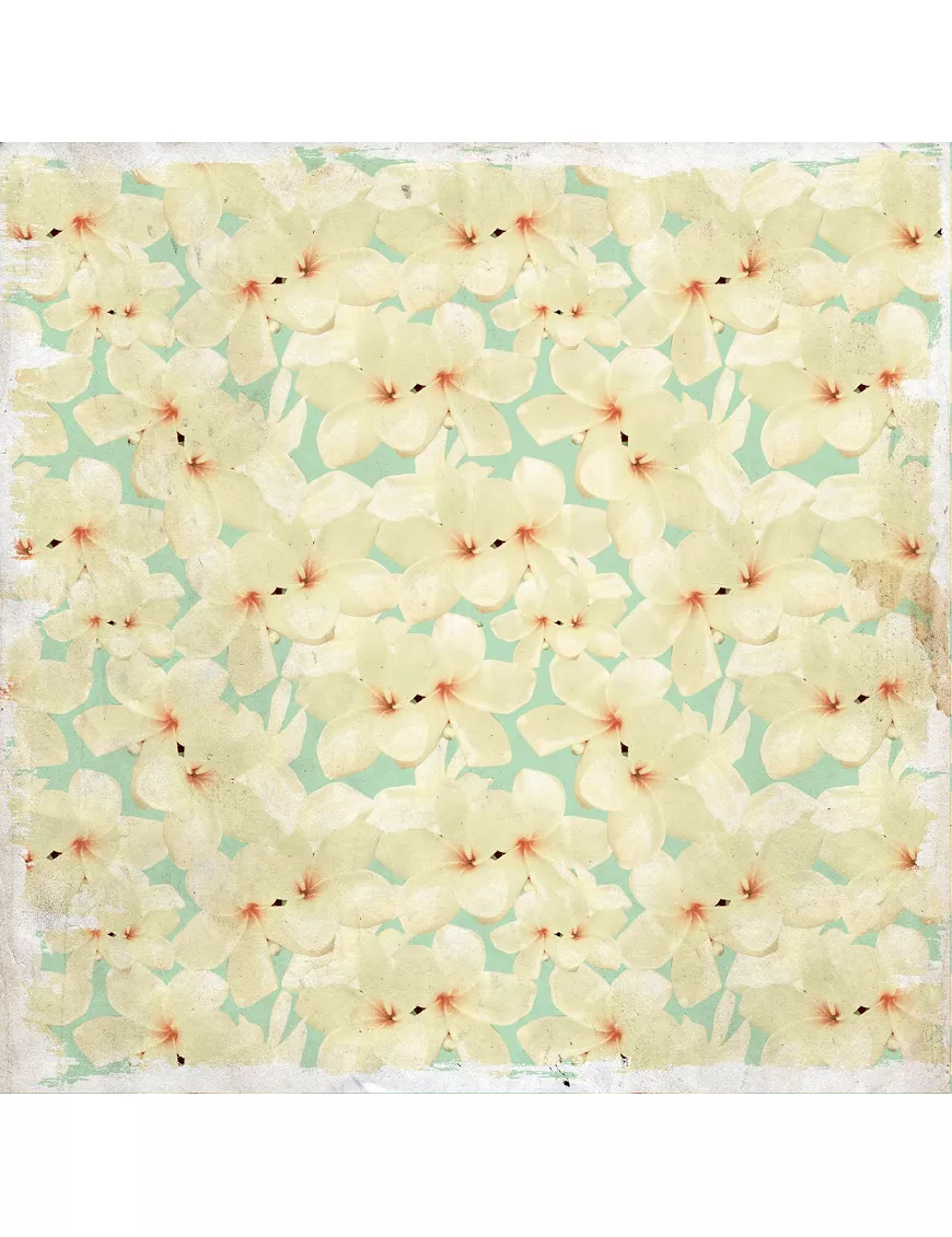 PAPEL SCRAP 30x30 Kaisercraft paradiso