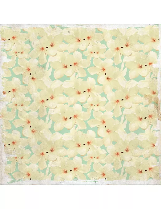 PAPEL SCRAP 30x30 Kaisercraft paradiso