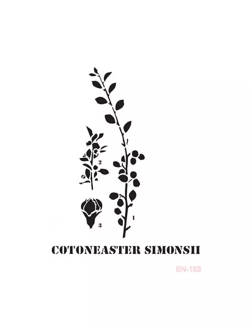 Stencil CADENCE 25X36cm COTONEASTER