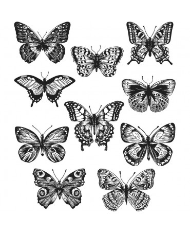 Sello Caucho TIM HOLTZ Flutter