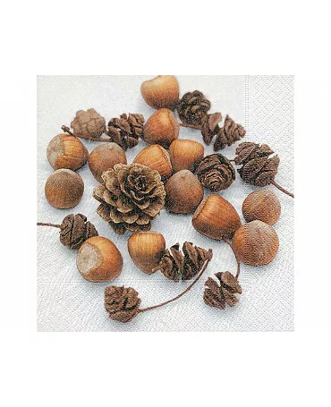 Servilletas NUECES Y PIÑAS