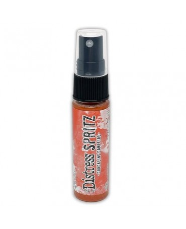 TINTA DISTRESS SPRITZ...