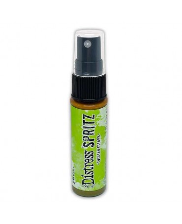 TINTA DISTRESS SPRITZ...