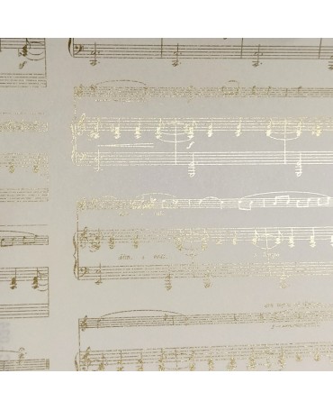 PAPEL ENCUADERNAR ROSSI...