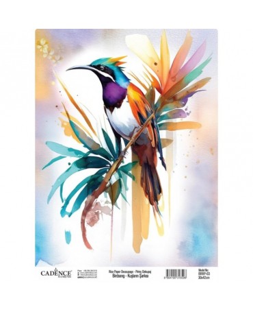 Papel arroz Cadence A3...
