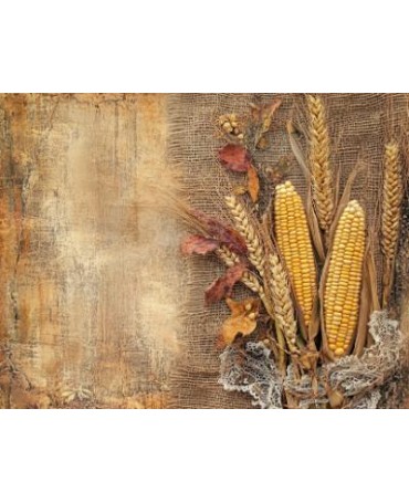 Papel Seda A4 Rustic Autumn...
