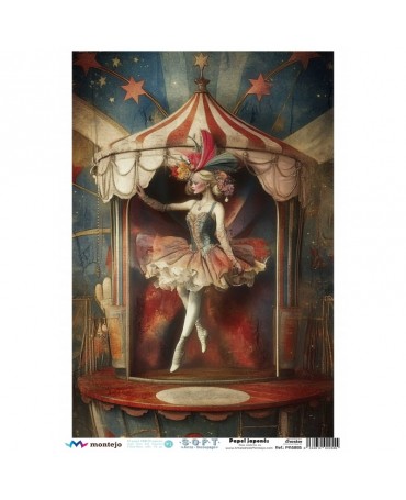 Papel Arroz SOFT A3 5885 Circo