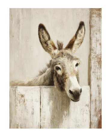 Papel Seda A3 Granja 25 Burro