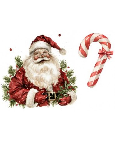 Seda A4 Navidad Elementos...