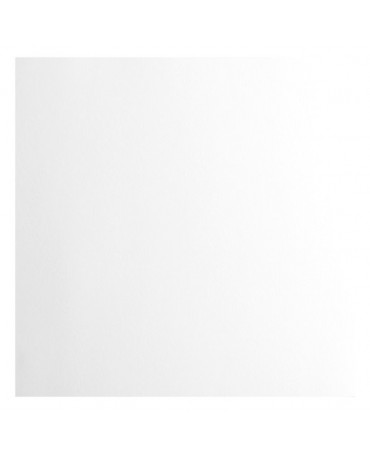 CARTULINA Lisa Blanca...