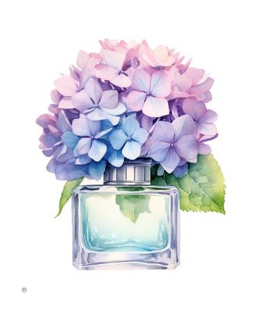 Papel Seda A4 Perfume 6
