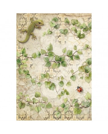 Papel arroz Stamperia A4...