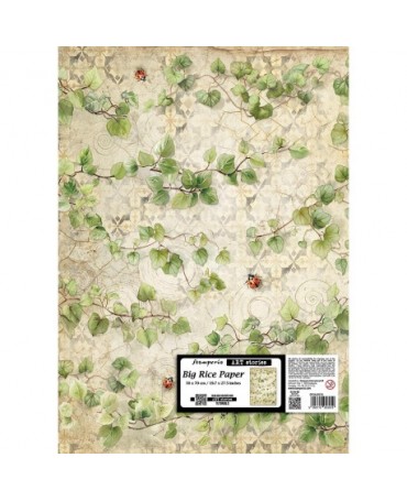 Papel arroz Stamperia 50x70...