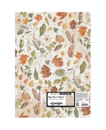 Papel arroz Stamperia 50x70...