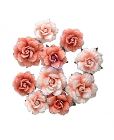 FLORES PRIMA Homegrown...
