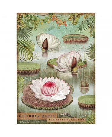 Papel arroz Stamperia A4 Amazonia water lily