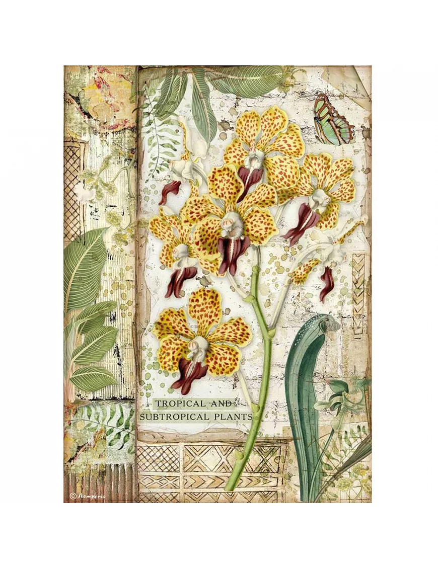 Papel arroz Stamperia A4 Amazonia orchid