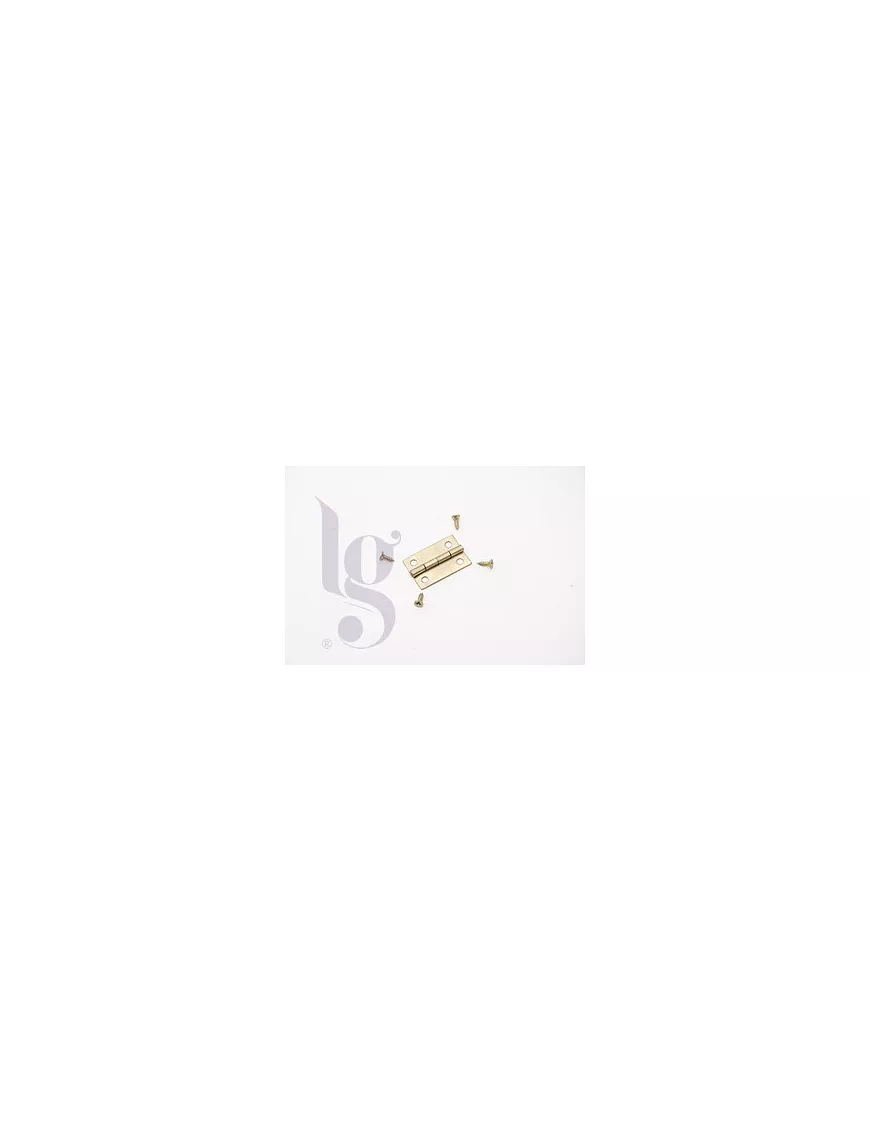 BISAGRA DORADA 2 ud 2.5X1.5cm
