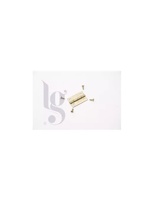 BISAGRA DORADA 2 ud 2.5X1.5cm