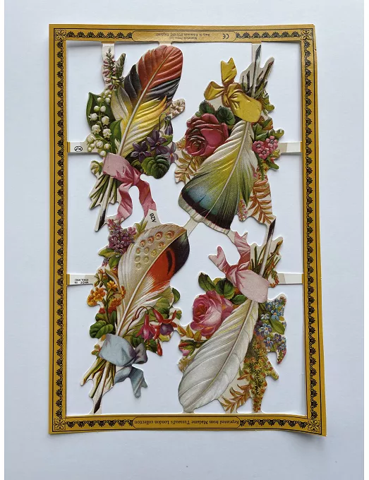CROMOS INGLESES PLUMAS