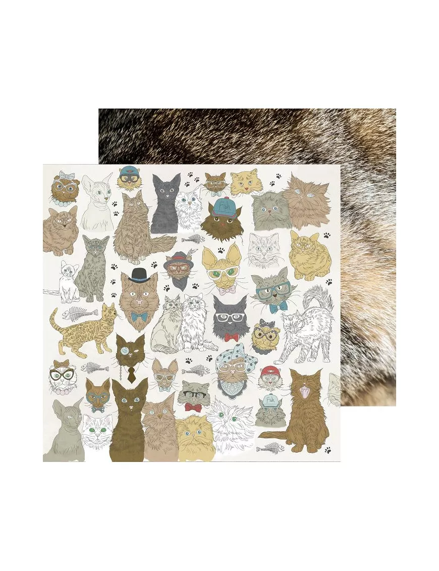 PAPEL SCRAP 30x30 Kaisercraft CATS