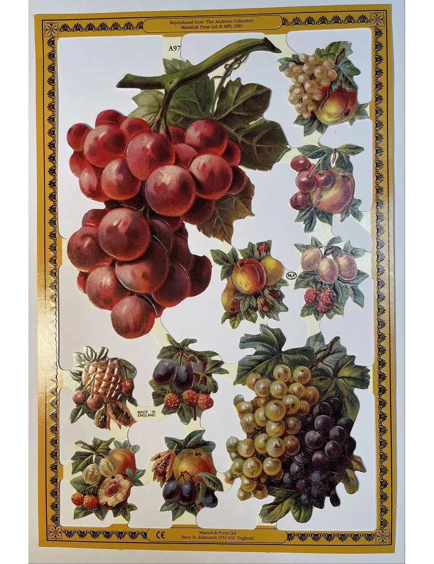 CROMOS INGLESES FRUTAS A97 AÑO 1995