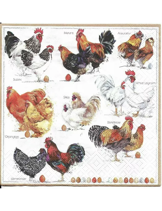 Servilletas POULETS-GALLOS