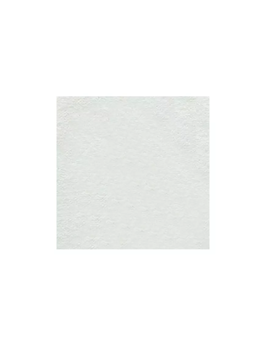 Papel Artesanal fino Fine Art Kozo liso 48x67cm Blanco