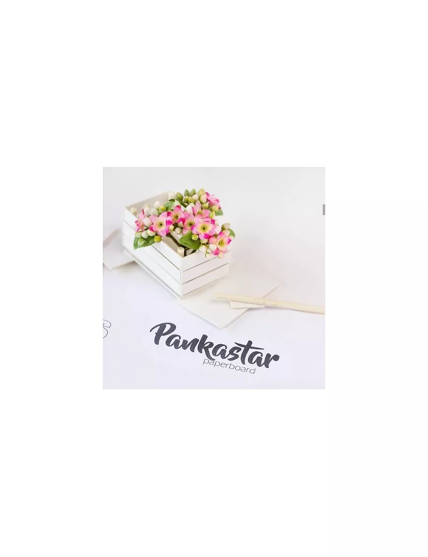 CARTÓN PANKASTAR 1,5mm 30,5x30,5cm BLANCO