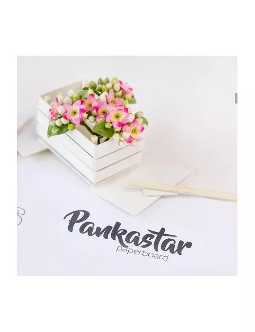 CARTÓN PANKASTAR 1,5mm 30,5x30,5cm BLANCO